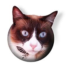 Procatinator Logo